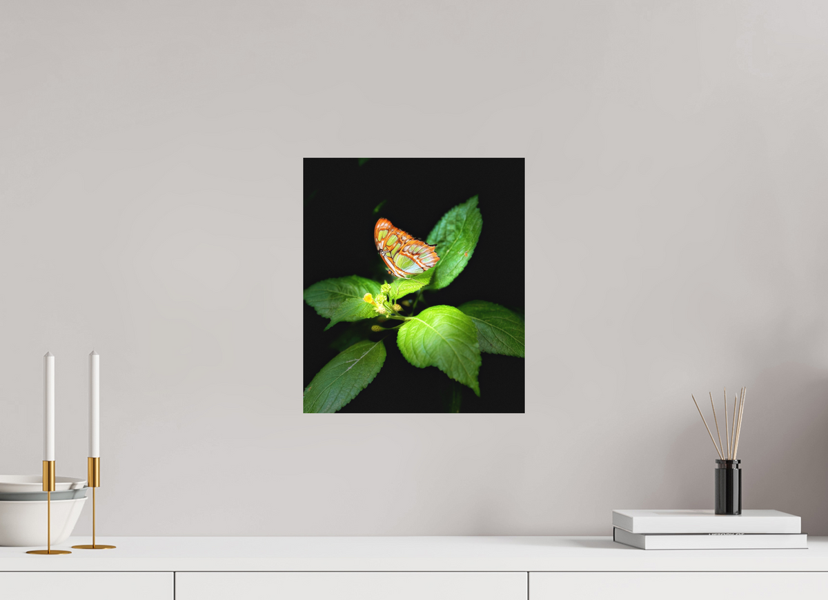 12 x 13.9″, Fine Art Print No Frame Edit edit