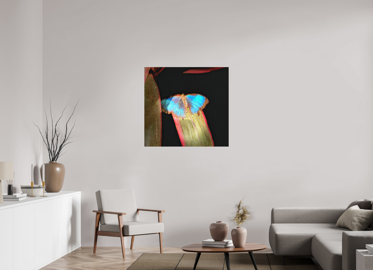 37 x 35″, Print on Aluminum Dibon no Glass Blue Reverie