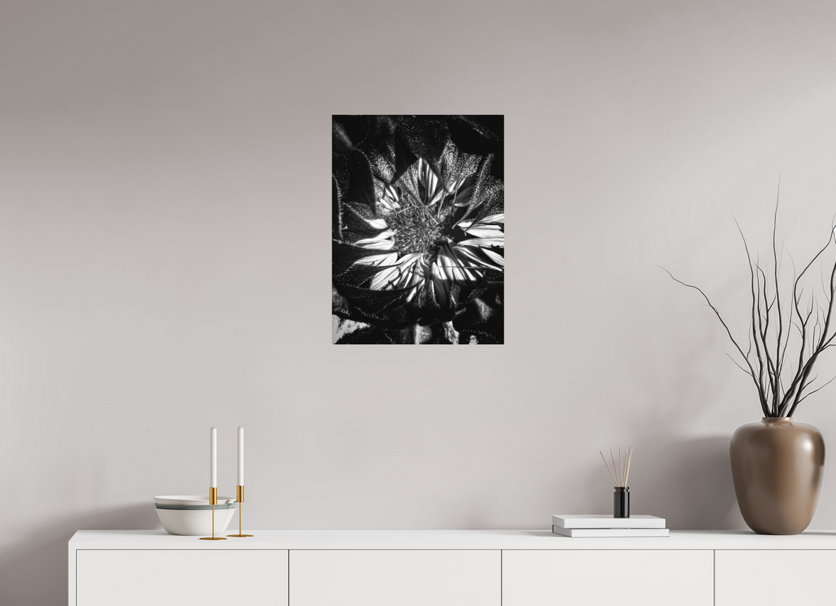 18 x 24″, Fine Art Print No Frame Shadow Petals