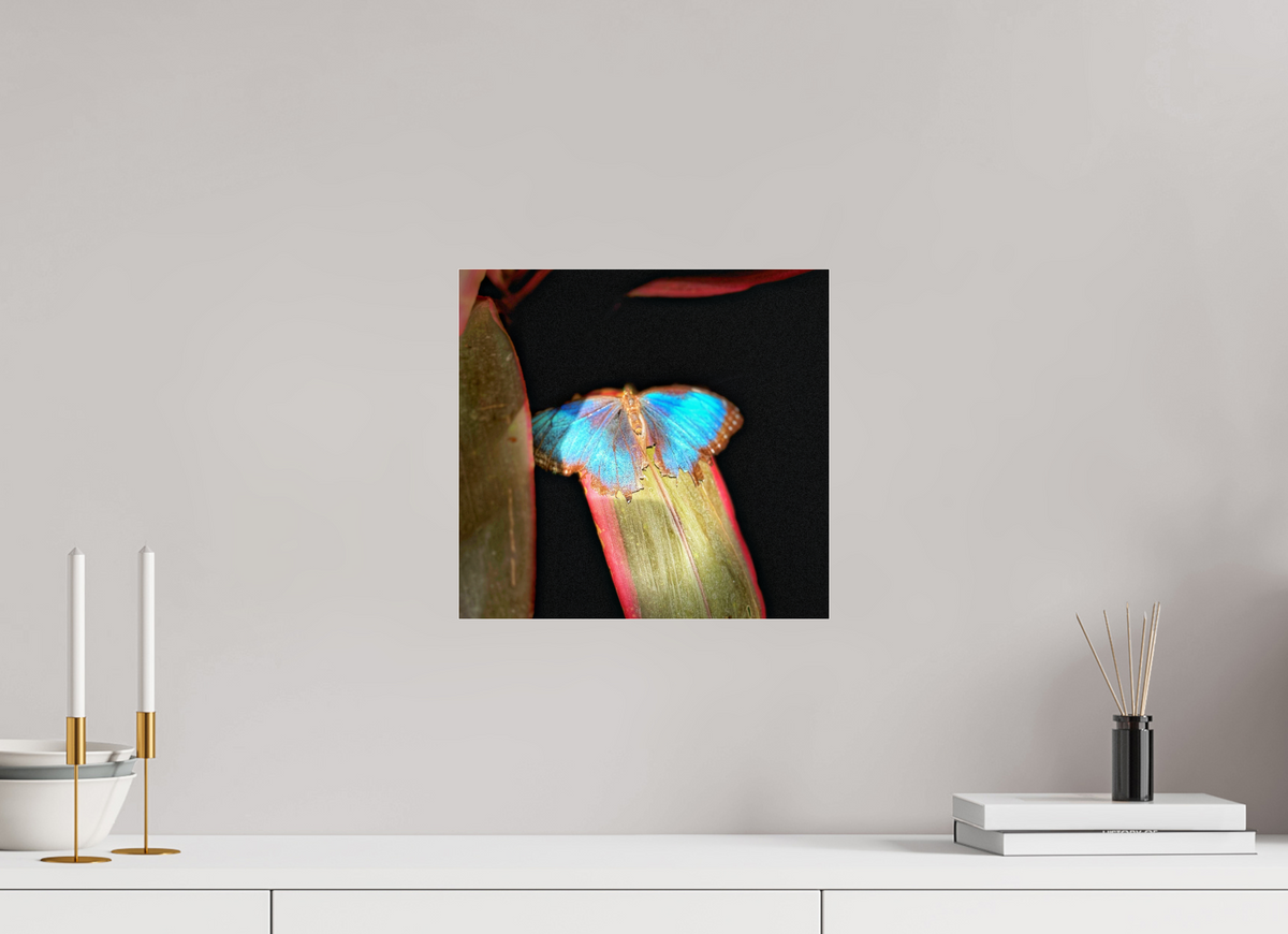 12.7 x 12″, Fuji Crystal Paper under Acrylic Glass no Frame Blue Reverie