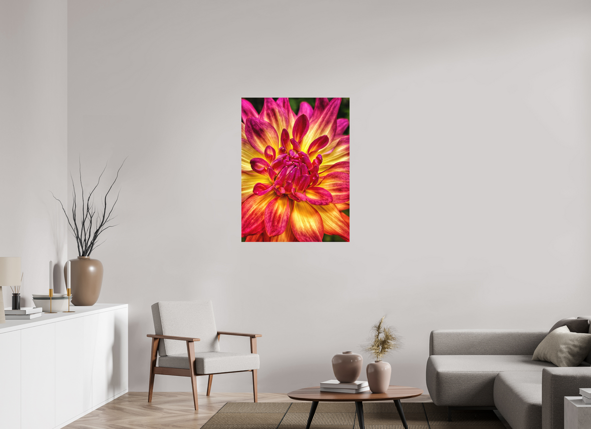 30 x 40″, Print on Aluminum Dibon no Glass Unapologetic Bloom