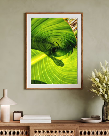 The Inward Spiral