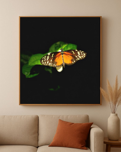 Monarch's Pause
