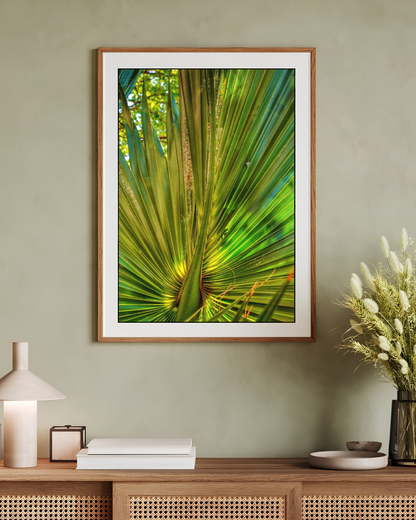Cathedral of Palms