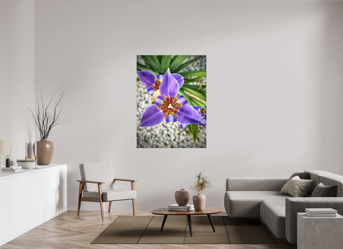 Violet Messenger — 42 x 56″ room mockup; finish varies by configuration.
