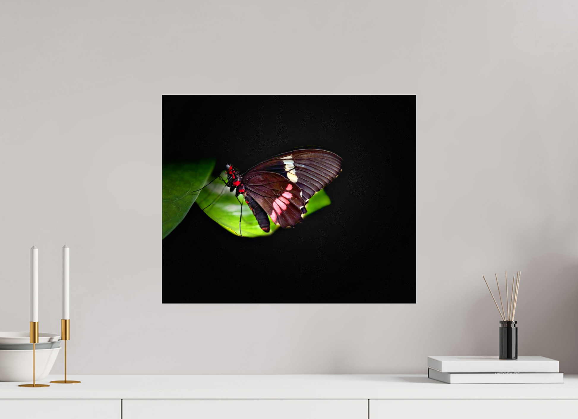 19.4 x 16″, Fuji Crystal Paper under Acrylic Glass no Frame Velvet Wings