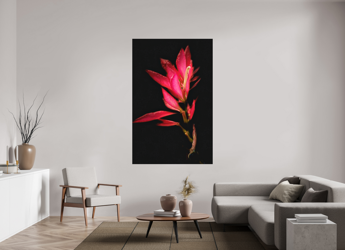 47 x 73.3″, Print on Aluminum Dibon no Glass Scarlet Awakening