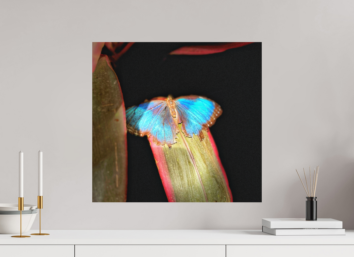 21.2 x 20″, Print on Aluminum Dibon no Glass Blue Reverie