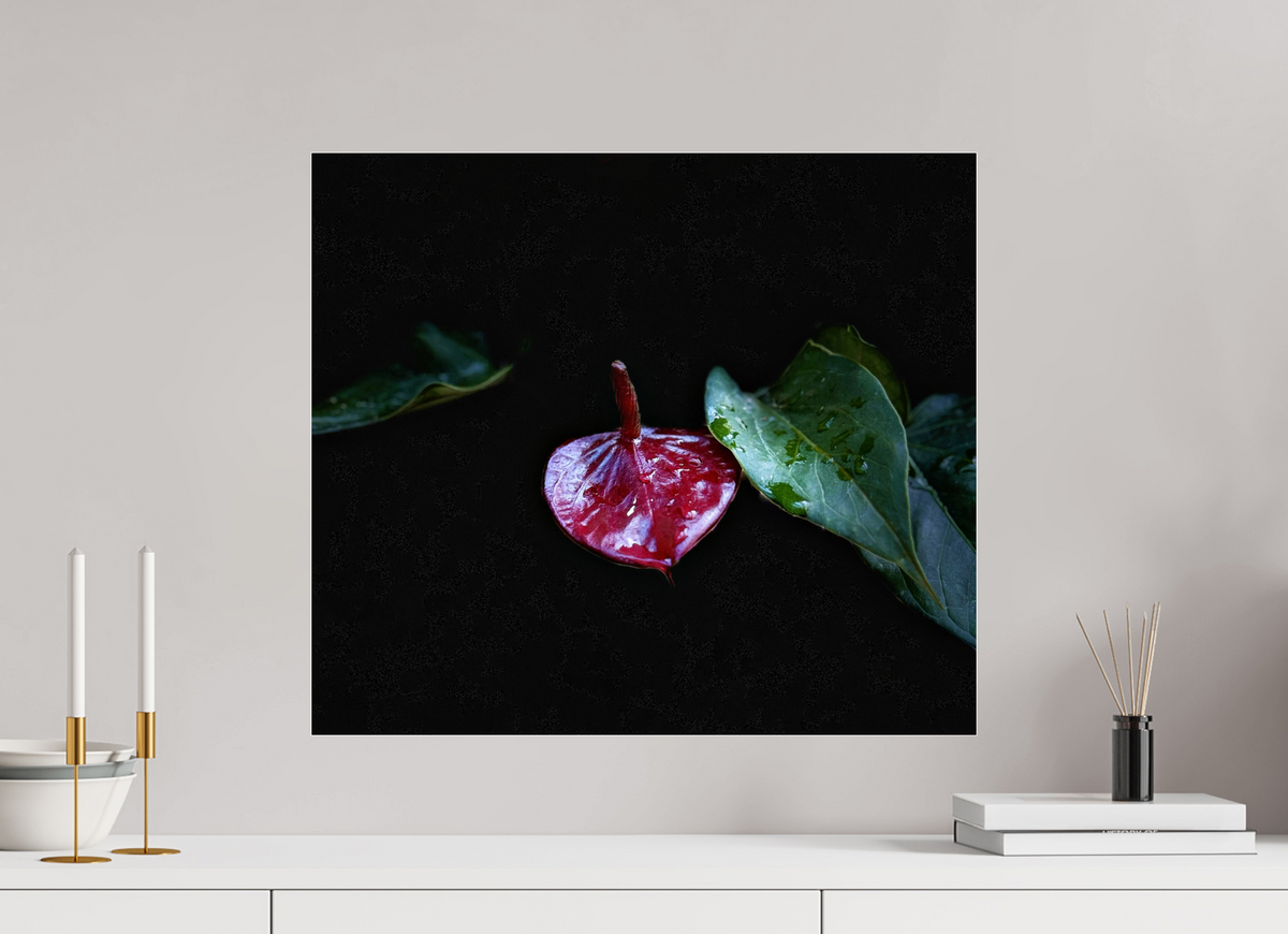 22.8 x 20″, Fuji Crystal Paper under Acrylic Glass no Frame The Gift