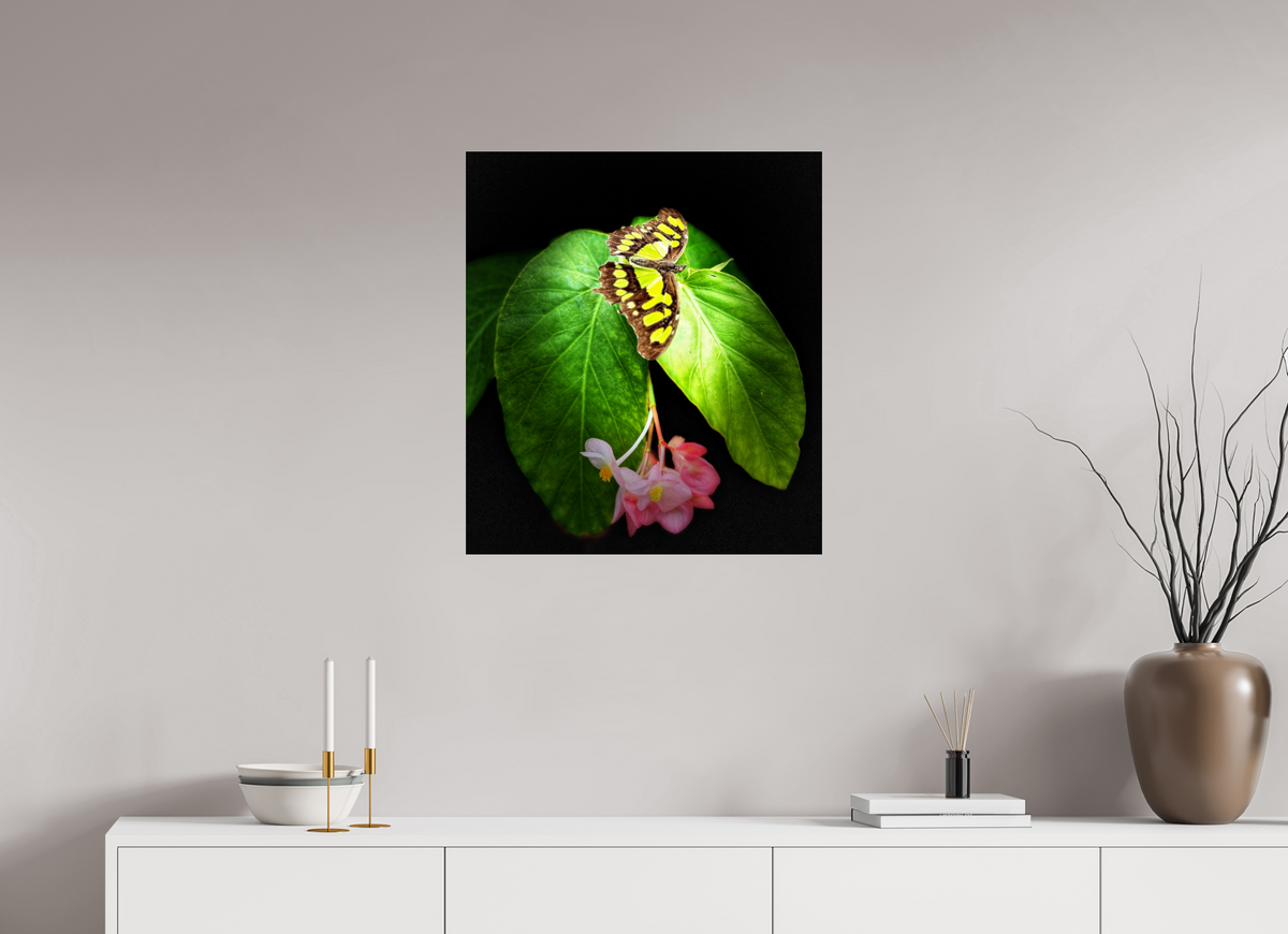 24 x 27.2″, Fuji Crystal Paper under Acrylic Glass no Frame Living Mosaic