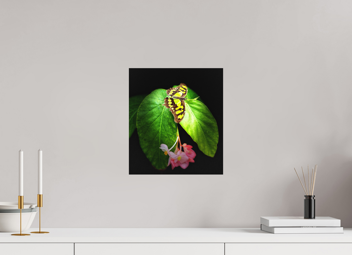 12 x 13.6″, Fine Art Print No Frame Living Mosaic