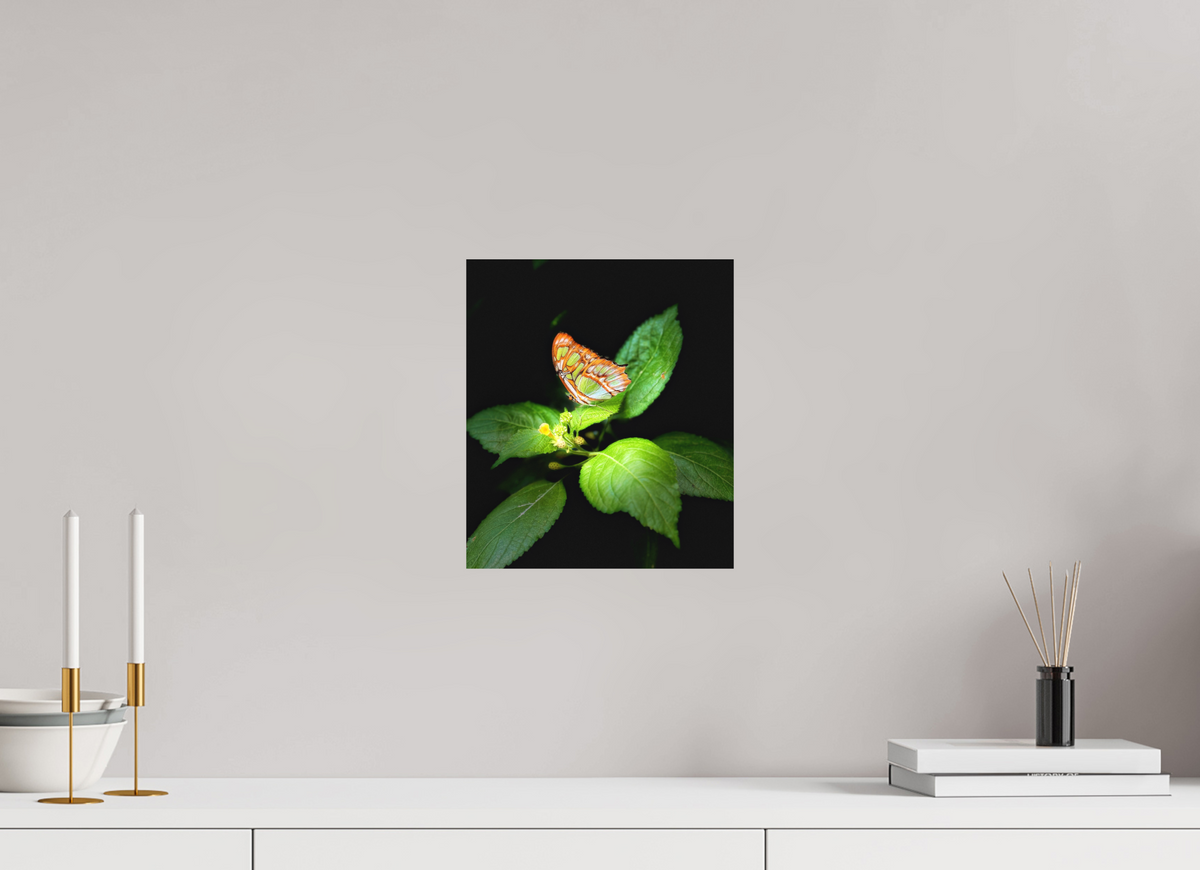 10 x 11.6″, Fine Art Print No Frame Edit edit