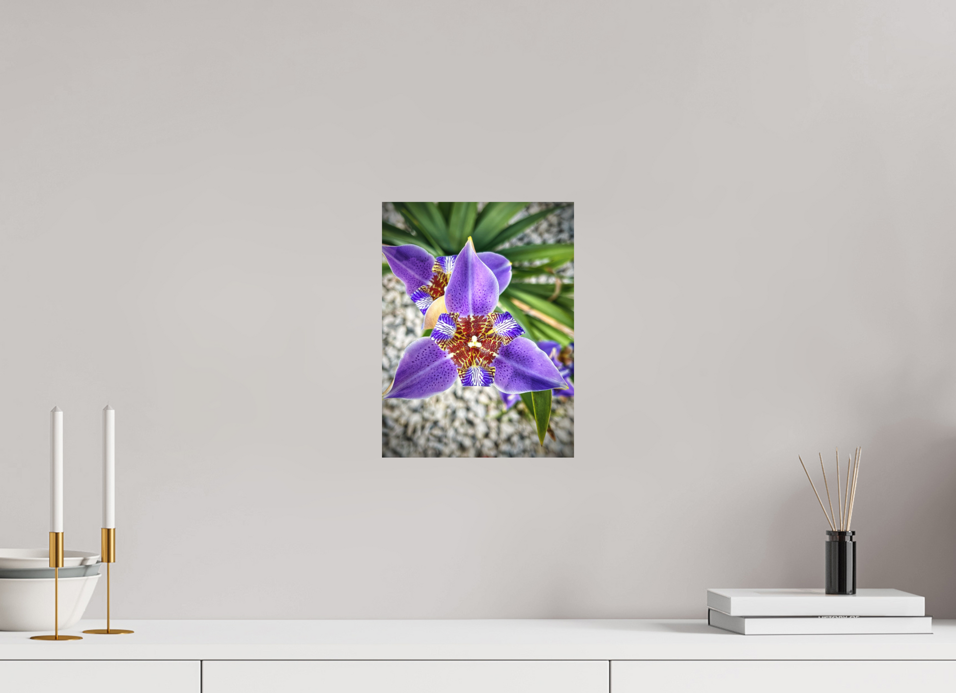9 x 12″, Fine Art Print No Frame Violet Messenger