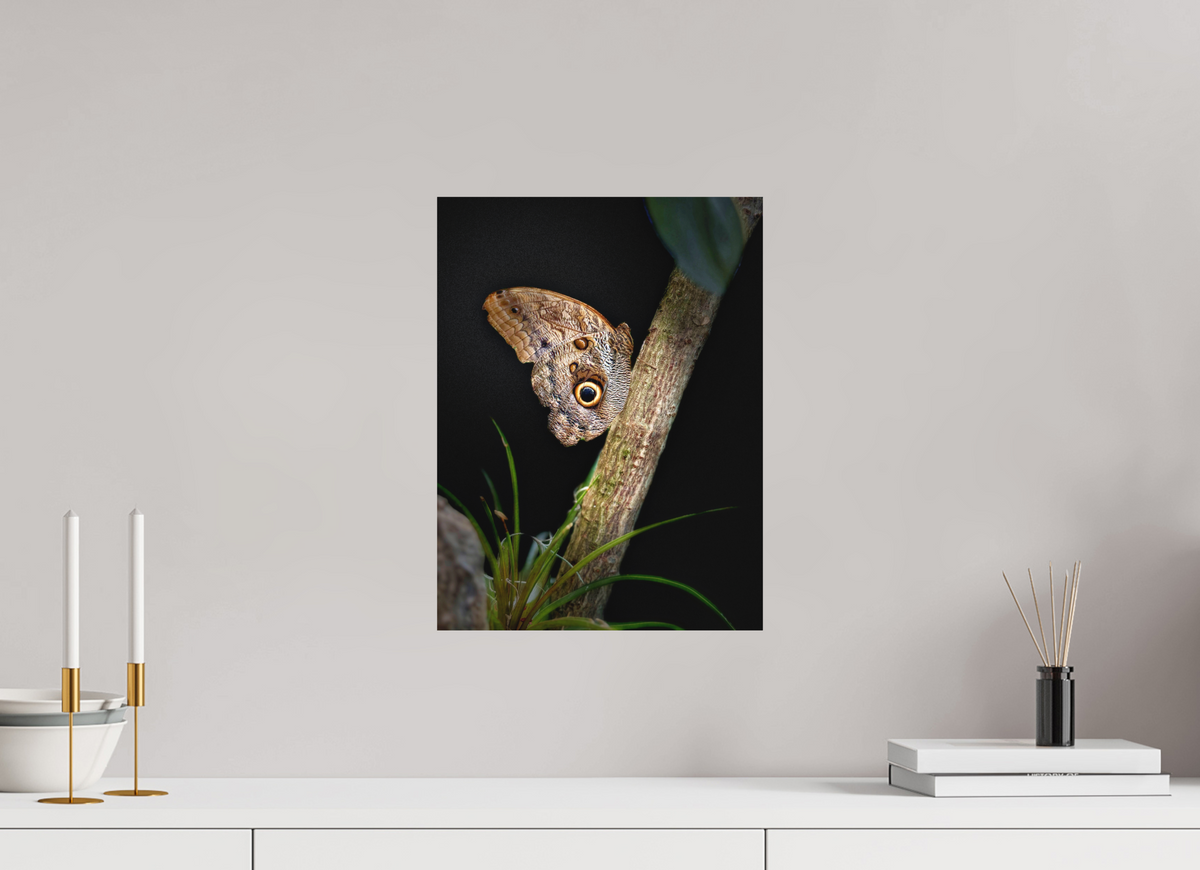 12 x 16″, Print on Aluminum Dibon no Glass Keeper of the Branch
