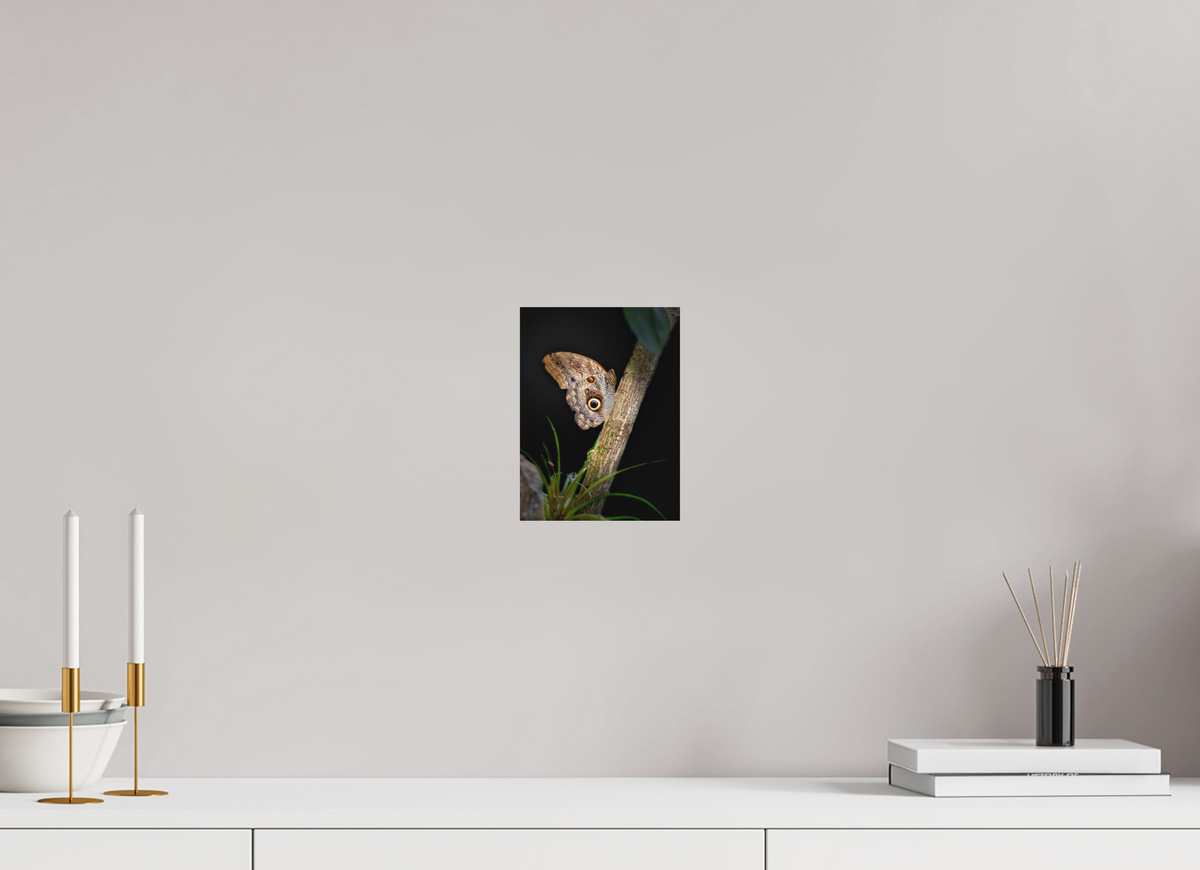 6 x 8″, Fine Art Print No Frame Keeper of the Branch