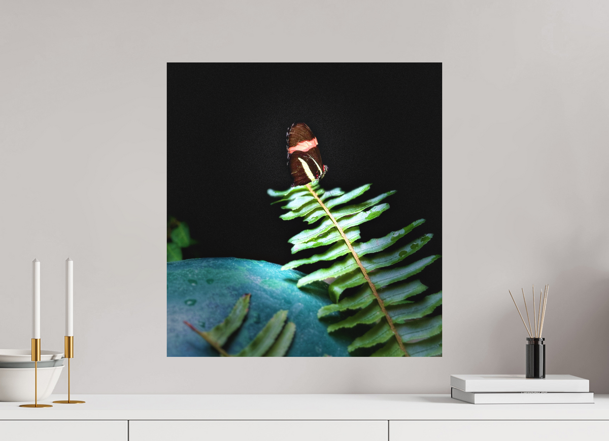 20 x 21.4″, Print on Aluminum Dibon no Glass Fernlight