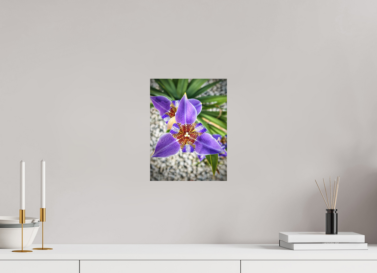 9 x 12″, Print on Aluminum Dibon no Glass Violet Messenger