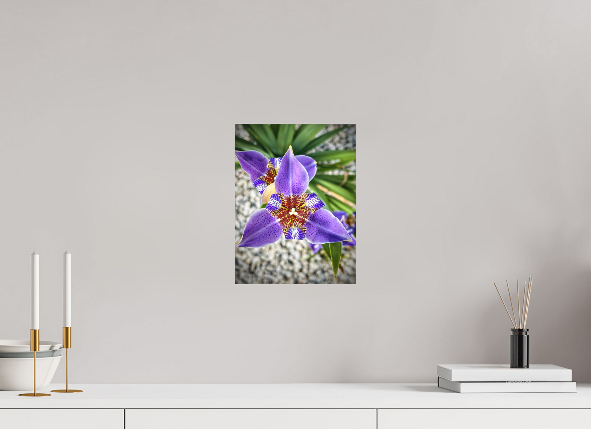 9 x 12″, Print on Aluminum Dibon no Glass Violet Messenger