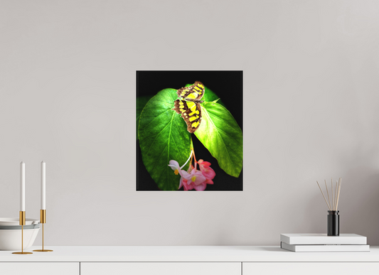 12 x 13.6″, Matte Canvas no Frame Living Mosaic
