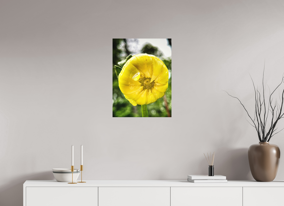 18 x 24″, Print on Aluminum Dibon no Glass A Drop of Sun