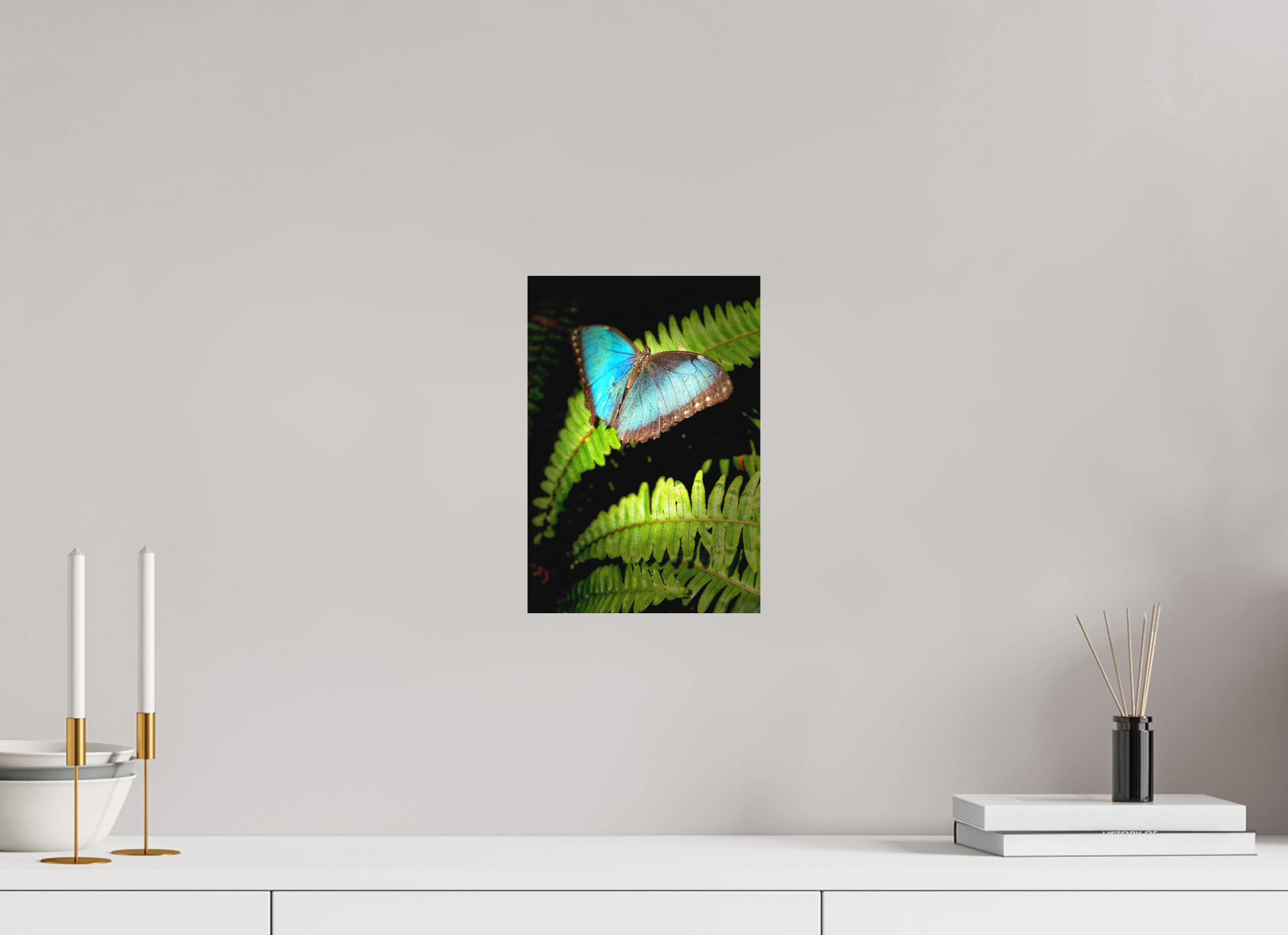 8 x 11.6″, Aluminum Dibond Print (No Glass)(Unframed) Held By Wonder