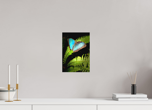 8 x 11.6″, Aluminum Dibond Print (No Glass)(Unframed) Held By Wonder