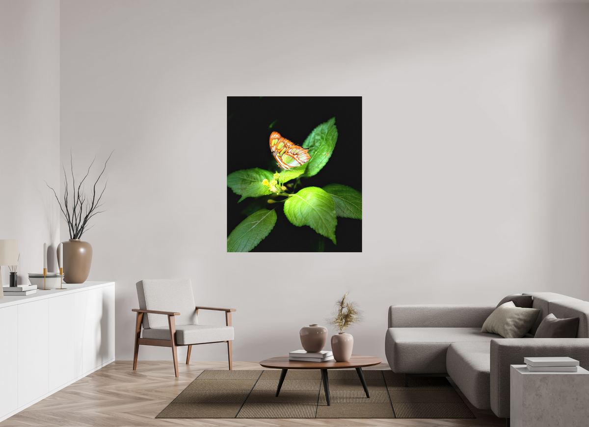 47 x 54.3″, Matte Canvas no Frame Edit edit
