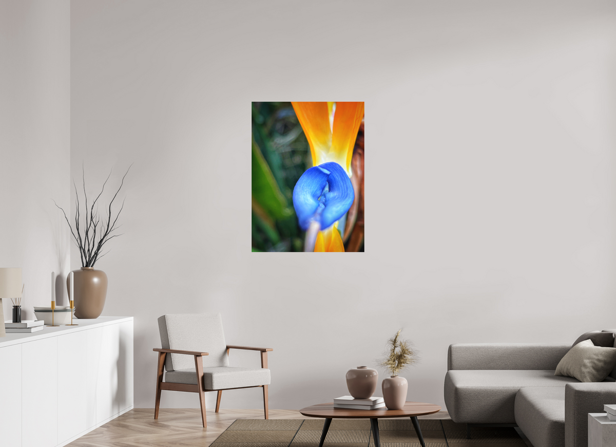 30 x 40″, Print on Aluminum Dibon no Glass Fire Meets Sky