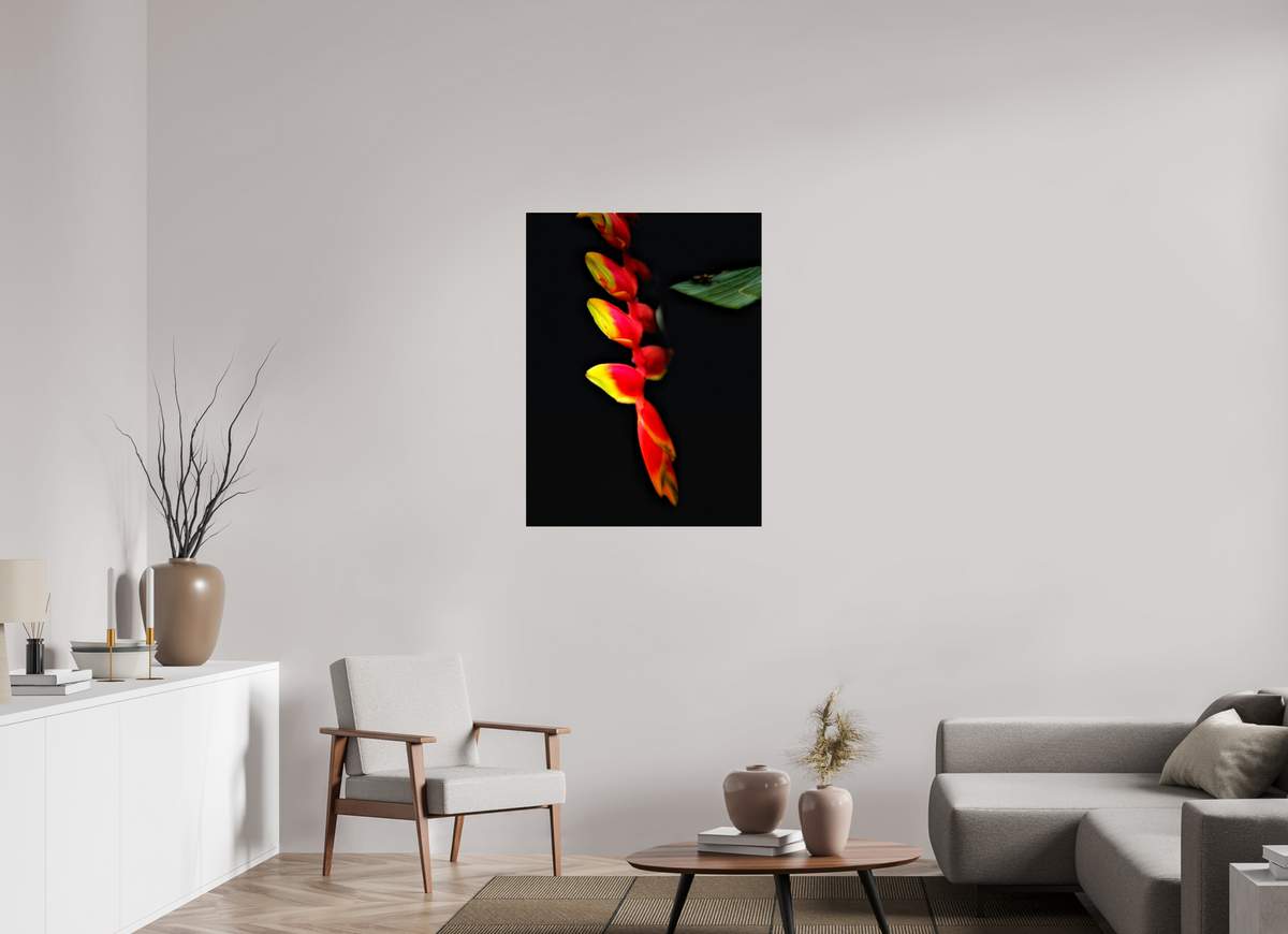 30 x 40″, Fuji Crystal Paper under Acrylic Glass no Frame Ember's Whisper