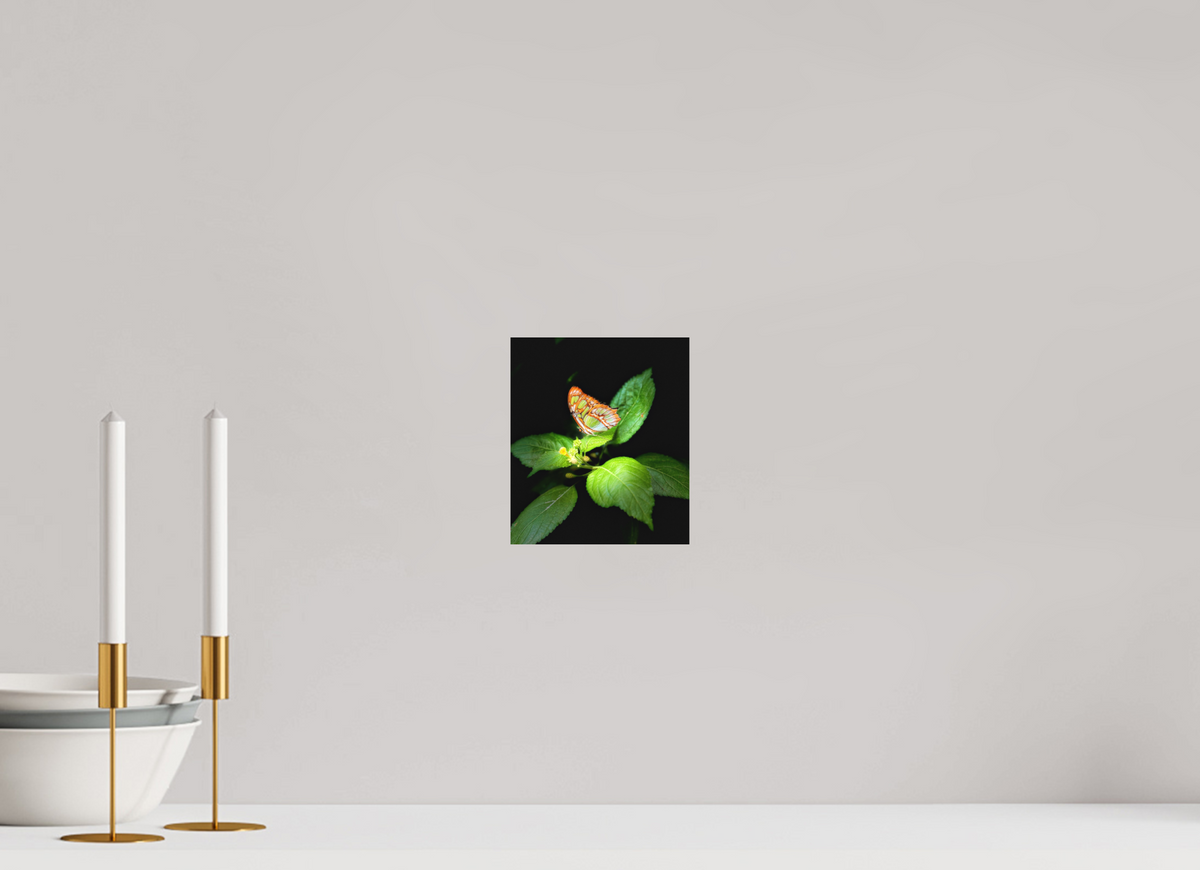 6 x 6.9″, Fine Art Print No Frame Edit edit