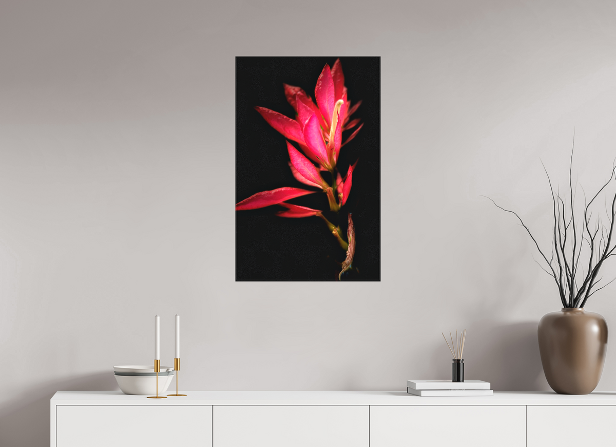 20 x 31.2″, Matte Canvas no Frame Scarlet Awakening