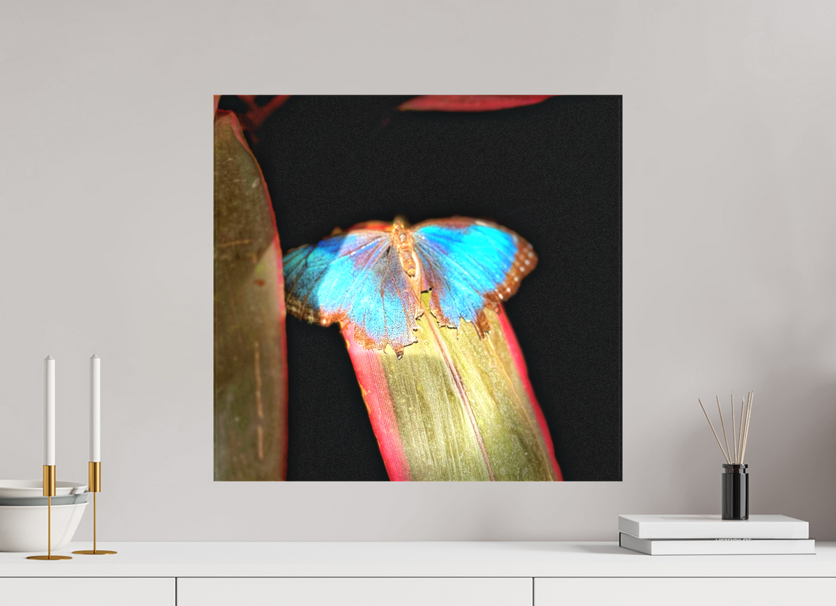 21.2 x 20″, Matte Canvas no Frame Blue Reverie