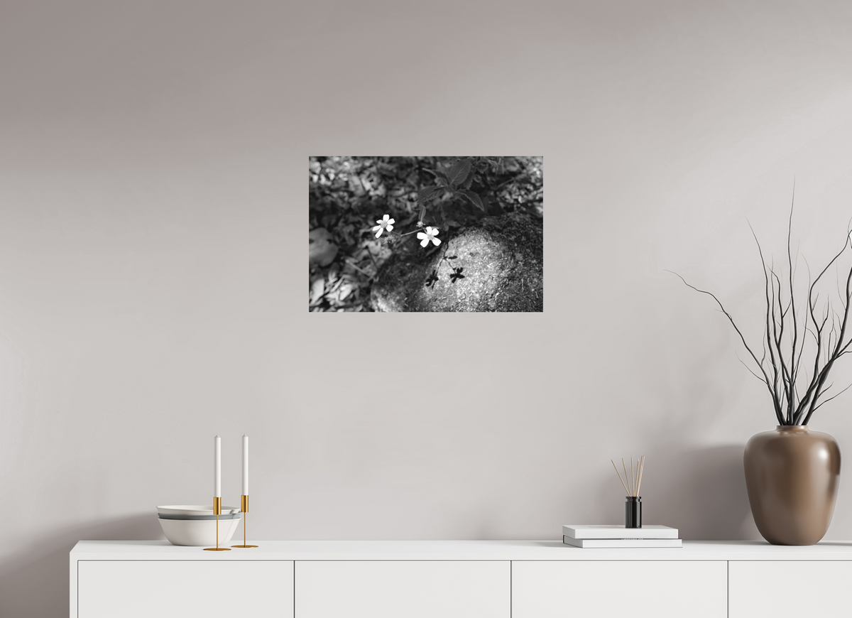 24 x 16″, Fine Art Print No Frame Small Miracles