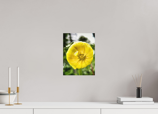 9 x 12″, Fine Art Print No Frame A Drop of Sun