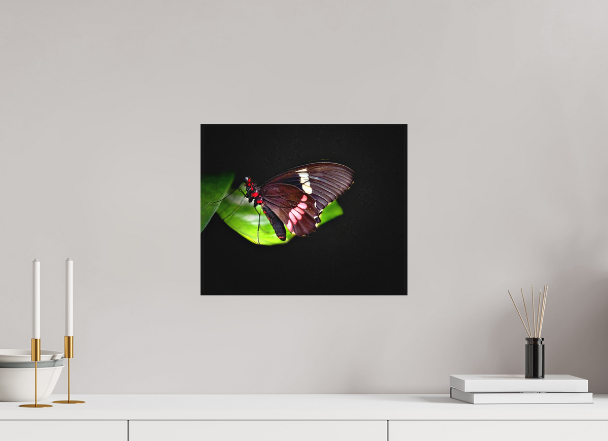 14.6 x 12″, Matte Canvas no Frame Velvet Wings