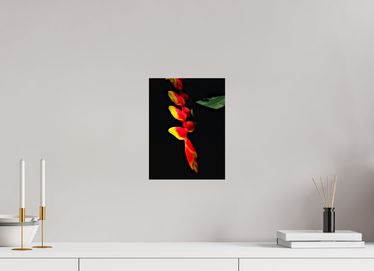 9 x 12″, Fuji Crystal Paper under Acrylic Glass no Frame Ember's Whisper