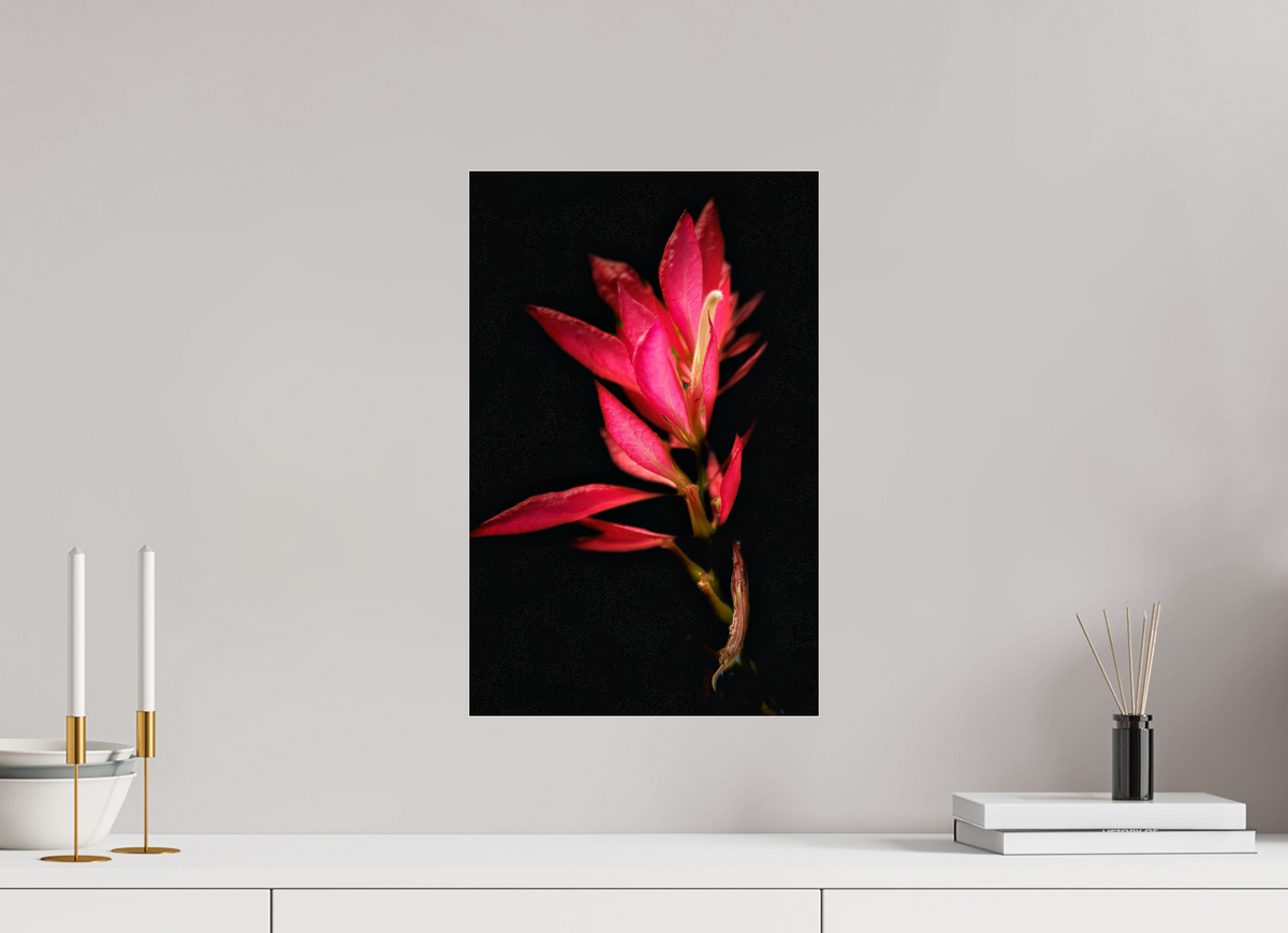 12 x 18.7″, Fuji Crystal Paper under Acrylic Glass no Frame Scarlet Awakening