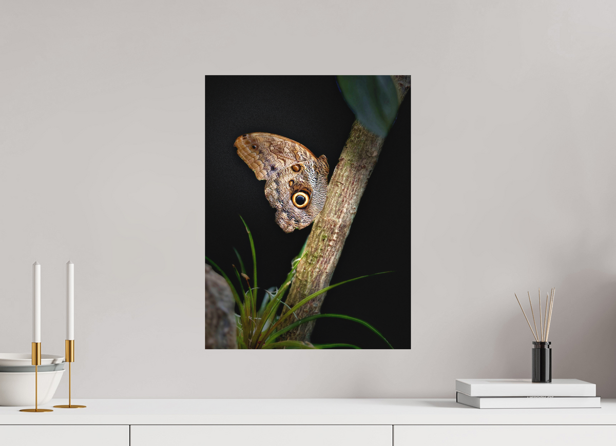 15 x 20″, Fine Art Print No Frame Keeper of the Branch