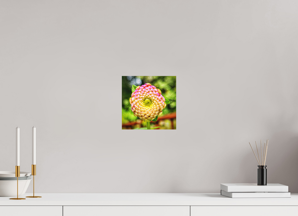 8.1 x 8″, Print on Aluminum Dibon no Glass The Art of Becoming