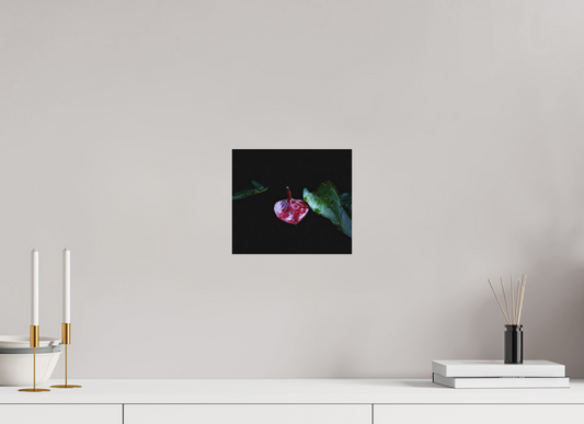 9.1 x 8″, Print on Aluminum Dibon no Glass The Gift