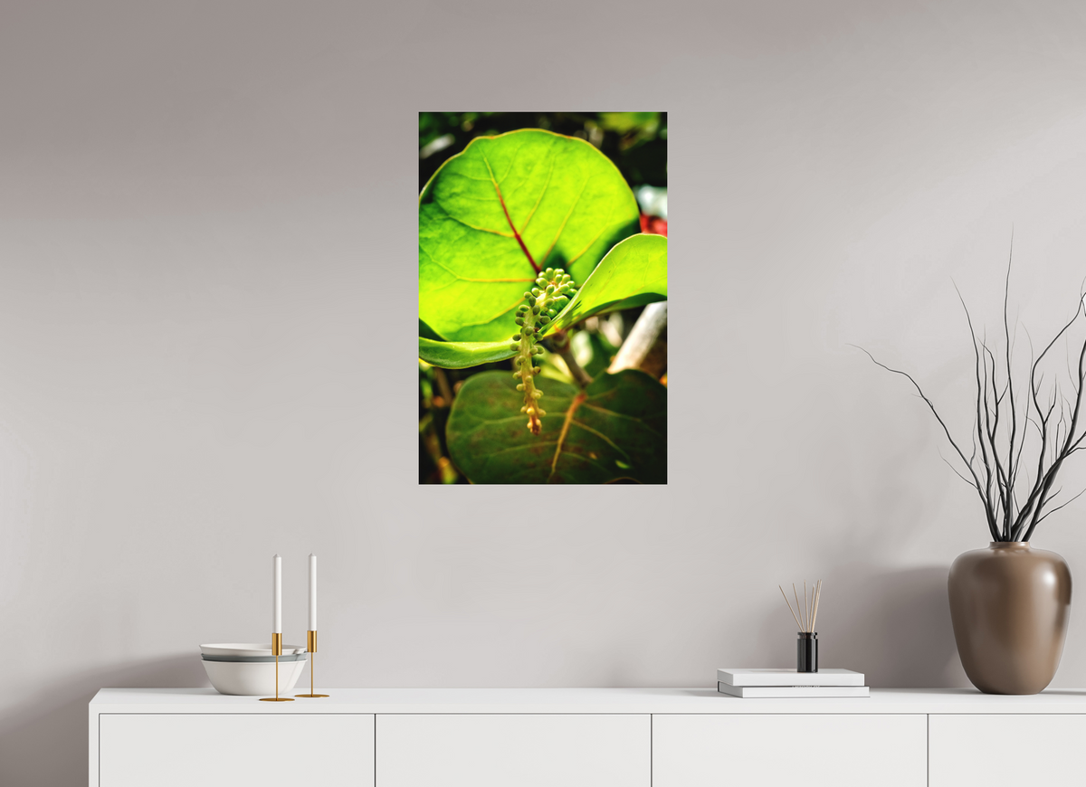 Quiet Abundance — 20 x 30″ room mockup; finish varies by configuration.