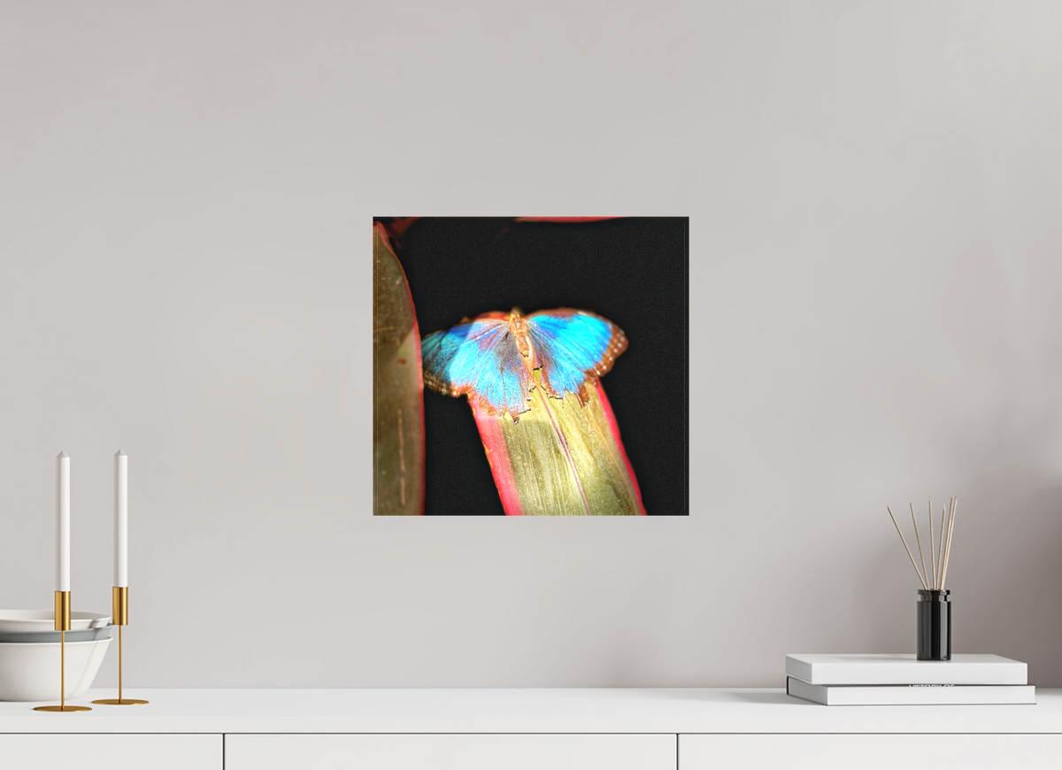 12.7 x 12″, Matte Canvas no Frame Blue Reverie