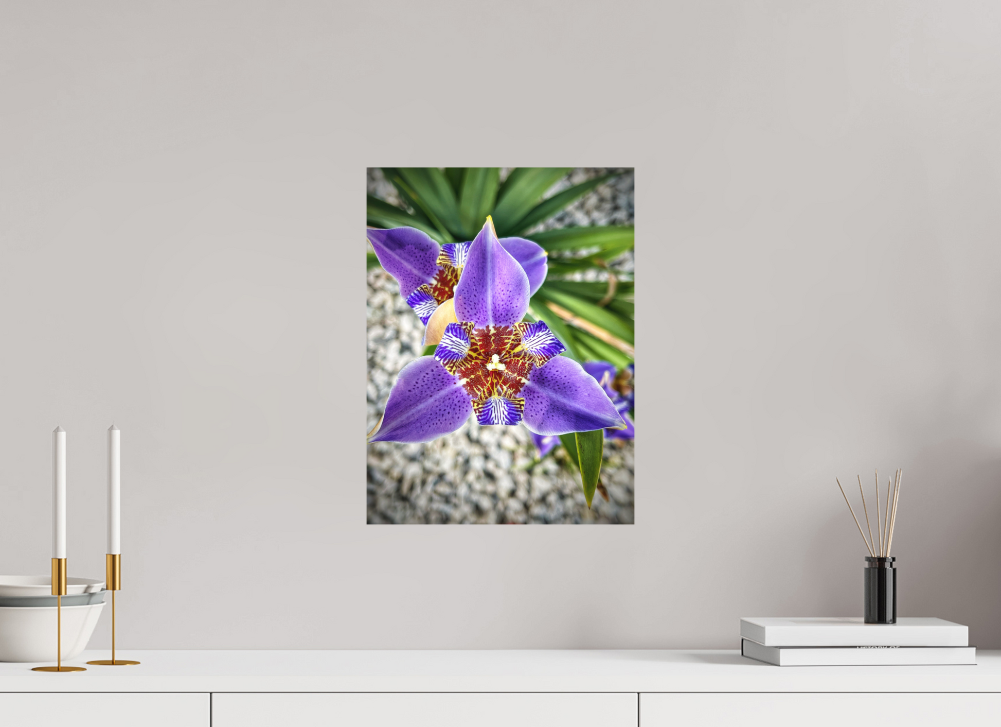 12 x 16″, Fine Art Print No Frame Violet Messenger
