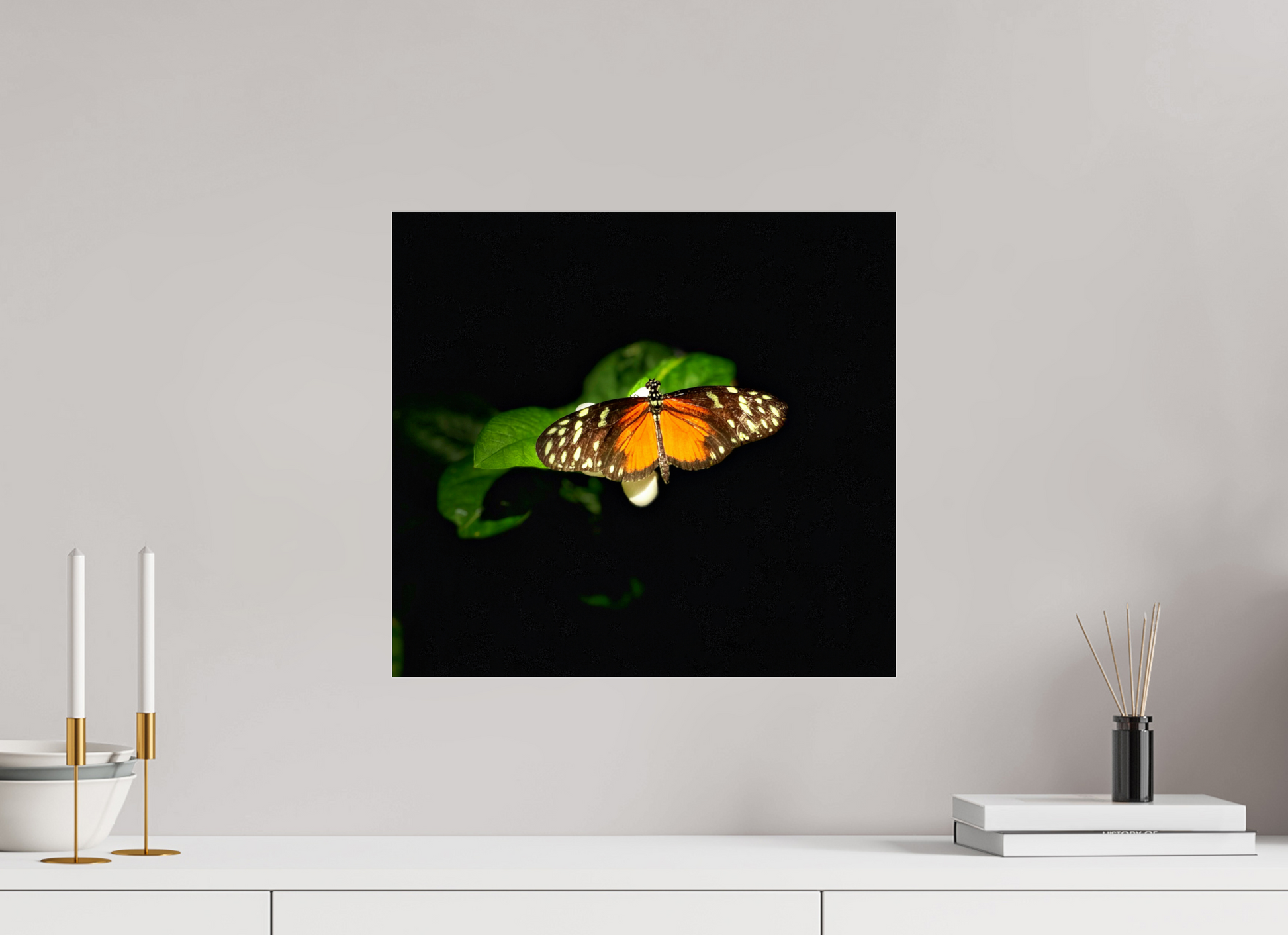 17.3 x 16″, Fuji Crystal Paper under Acrylic Glass no Frame Monarch's Pause