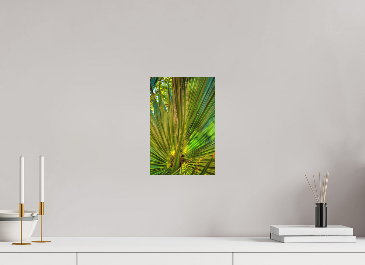 8 x 12″, Fine Art Print No Frame Cathedral of Palms