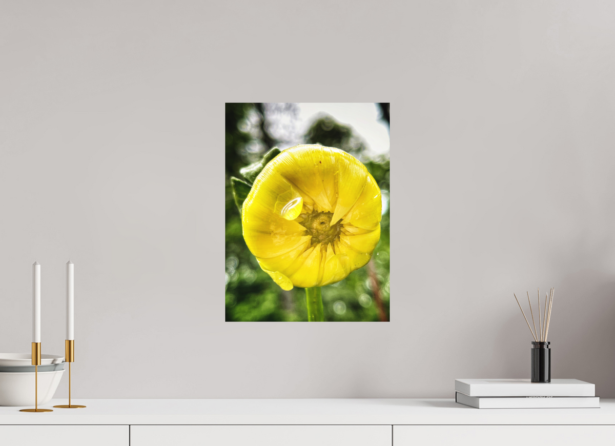 12 x 16″, Fine Art Print No Frame A Drop of Sun
