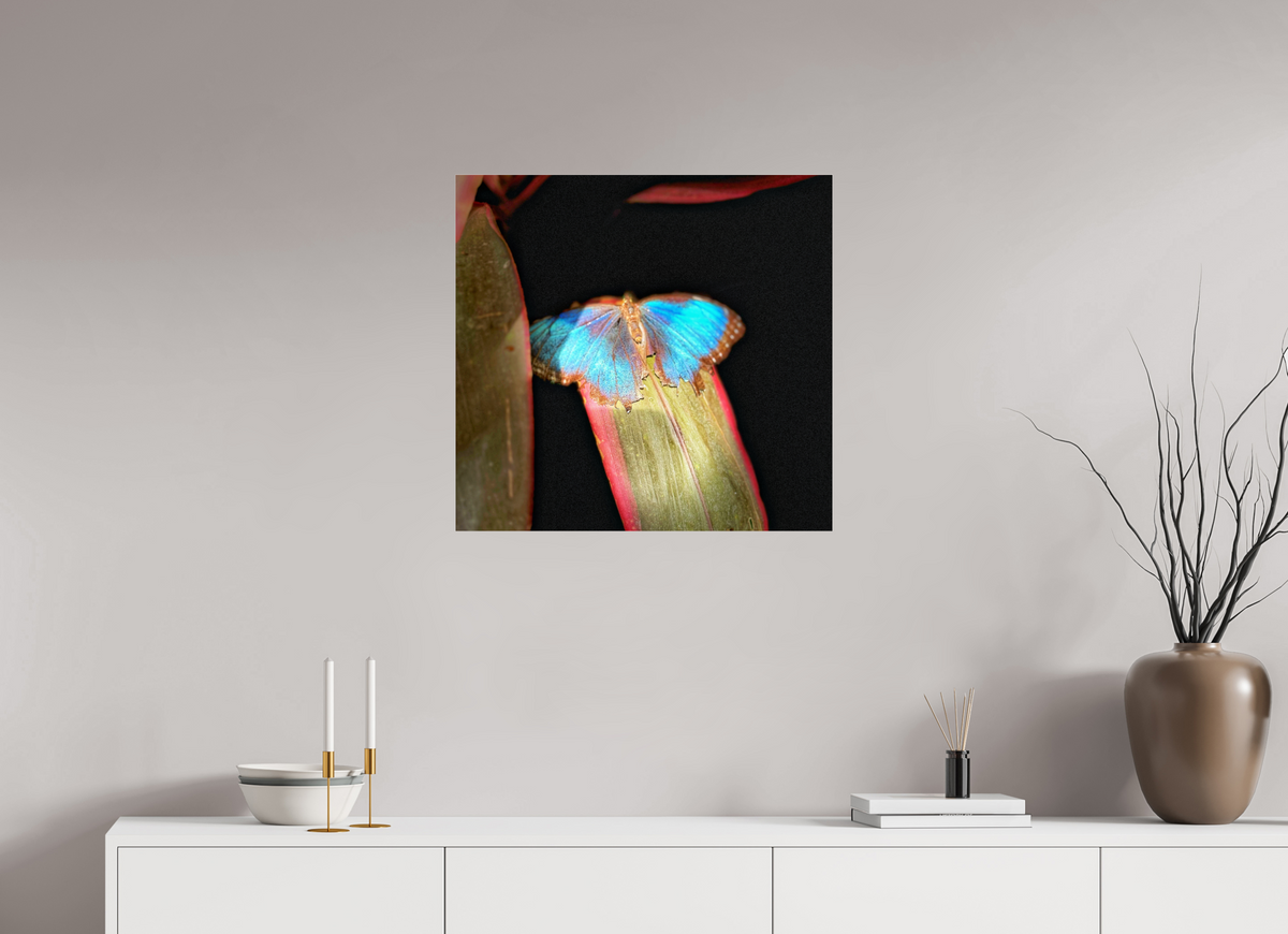 25.4 x 24″, Fuji Crystal Paper under Acrylic Glass no Frame Blue Reverie