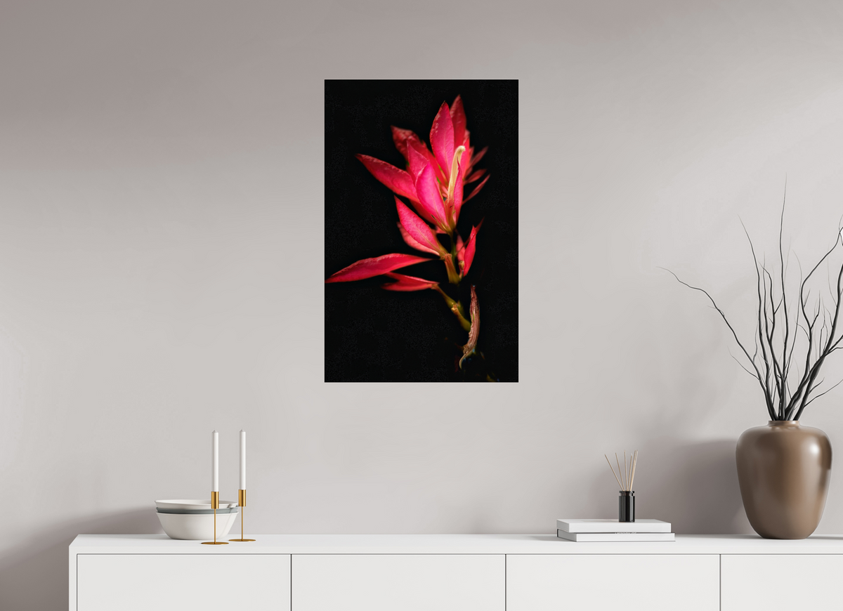 20 x 31.2″, Fuji Crystal Paper under Acrylic Glass no Frame Scarlet Awakening