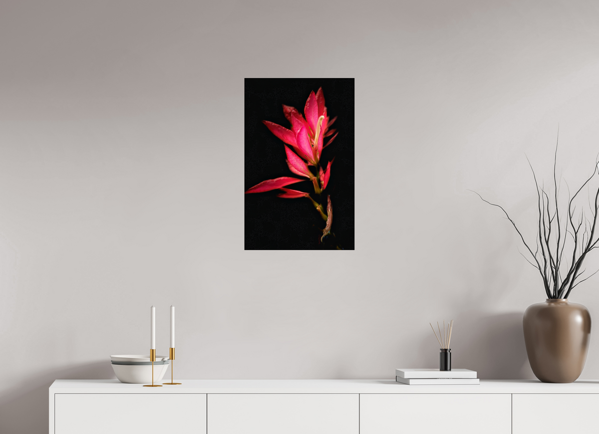 16 x 25″, Fuji Crystal Paper under Acrylic Glass no Frame Scarlet Awakening