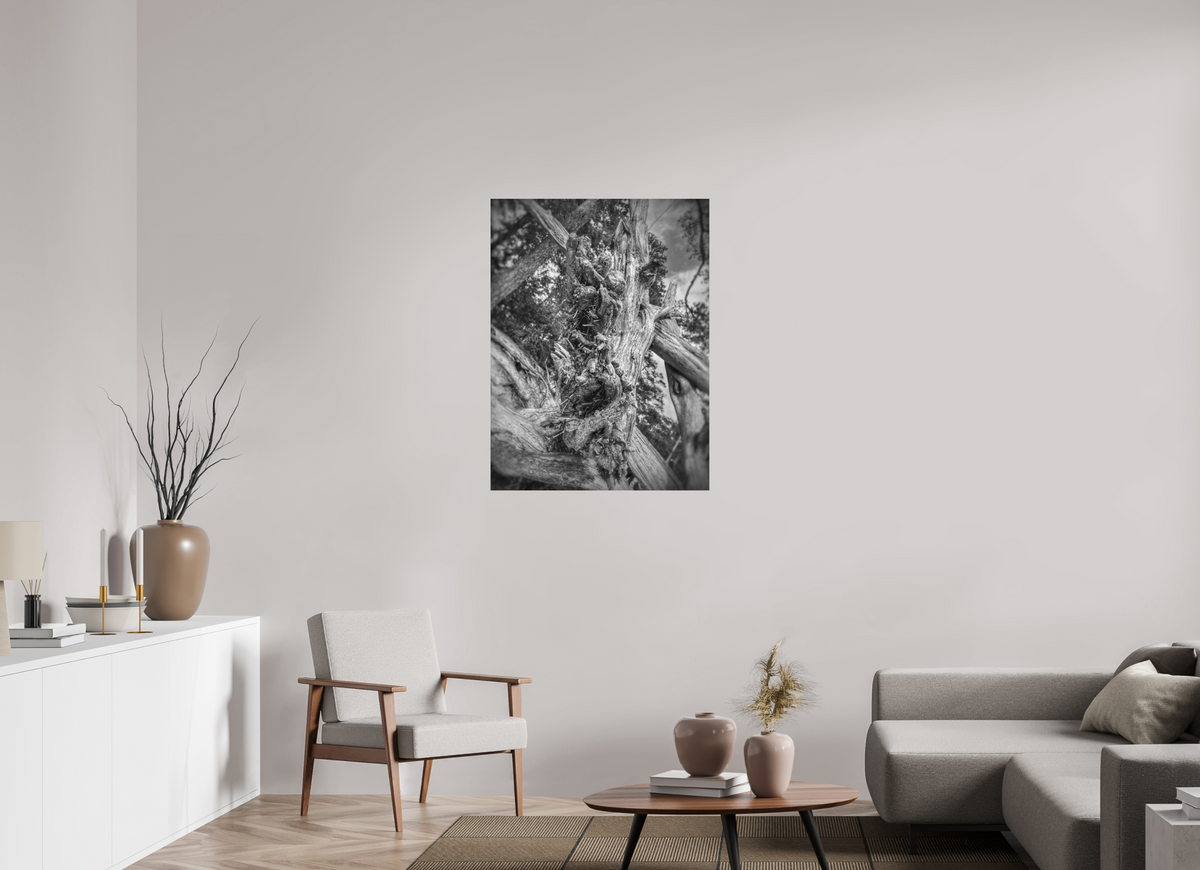 30 x 40″, Fine Art Print No Frame What the Wood Remembers